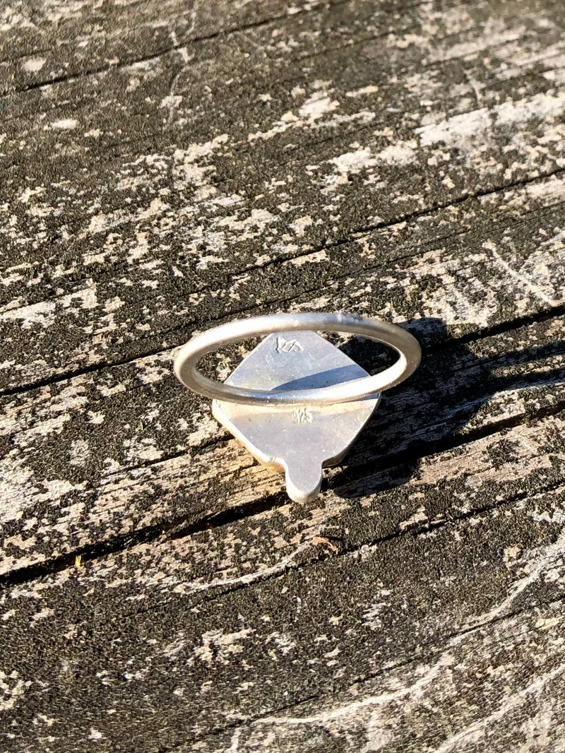 Terrarium And Diamond Ring