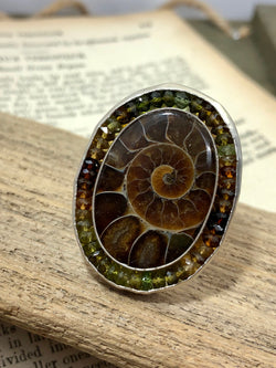Ammonite Rise Ring