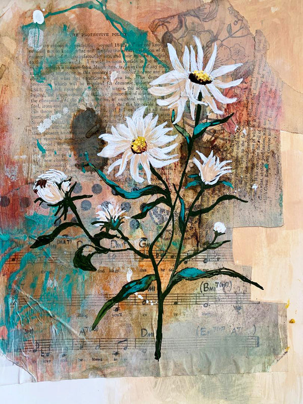 Aster