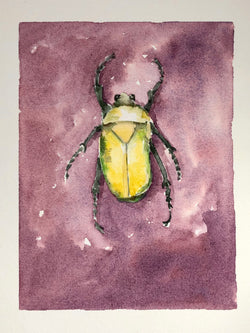 Small Watercolor Beetle Painting