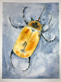 Watercolor Beetle Painting